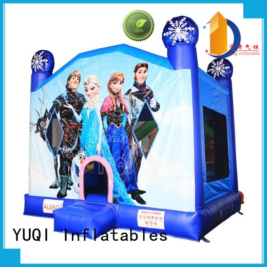 high quality backyard water slide elephant manufacturer for carnivals