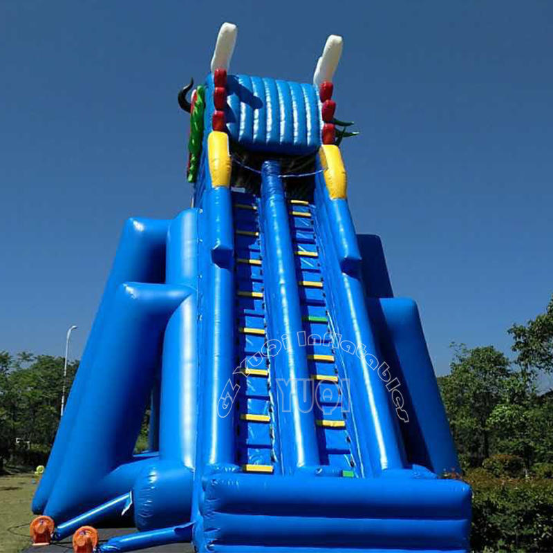 YQ241  Giant Inflatable Water Slide Giant Inflatable Slide For Adults