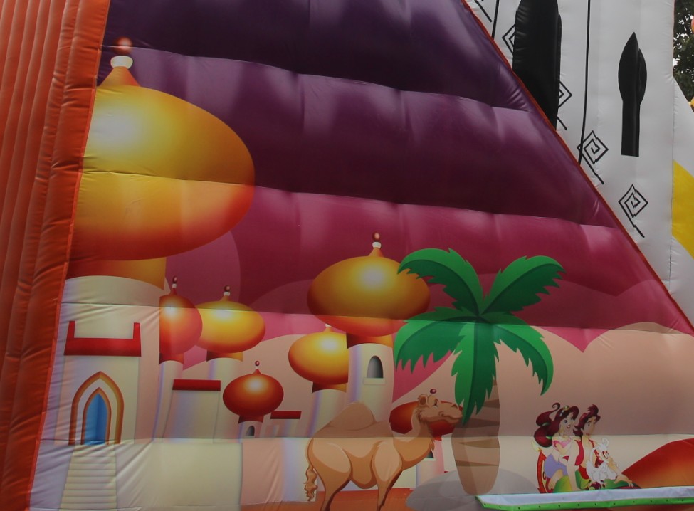 YUQI-Best Amusement Park Inflatable Slide Yuqi Adult Inflatable-9