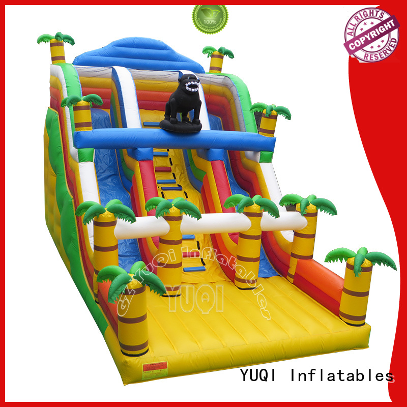 online blow up slide bouncing customization for birthday parties